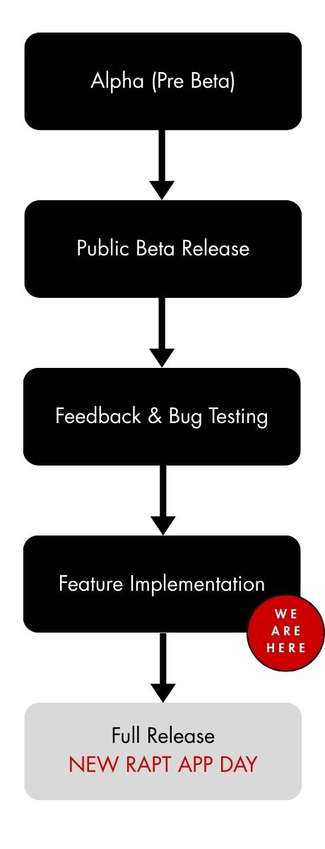 RAPT development roadmap: we are here at feature implementation
